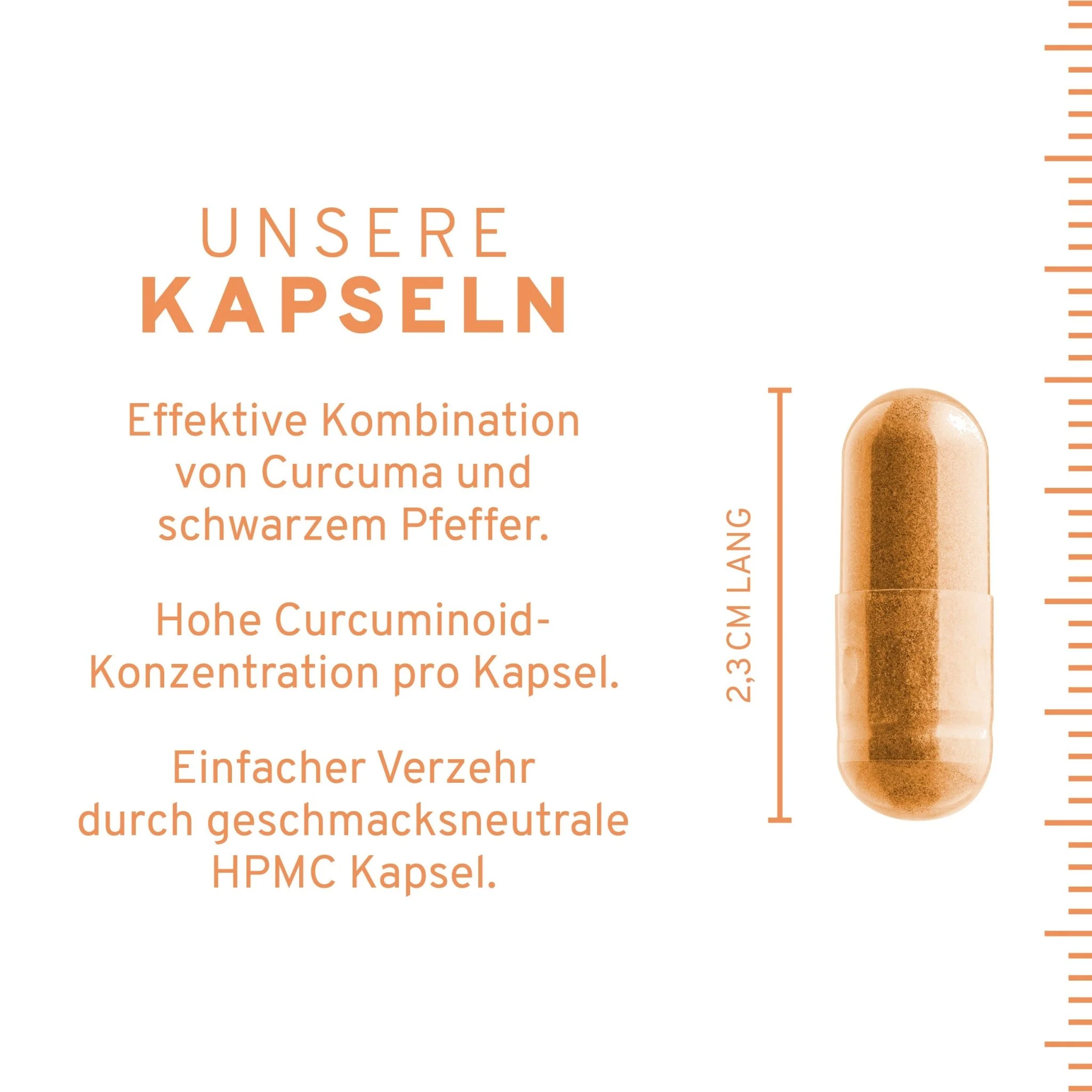Curcuma Kapseln - Image 4
