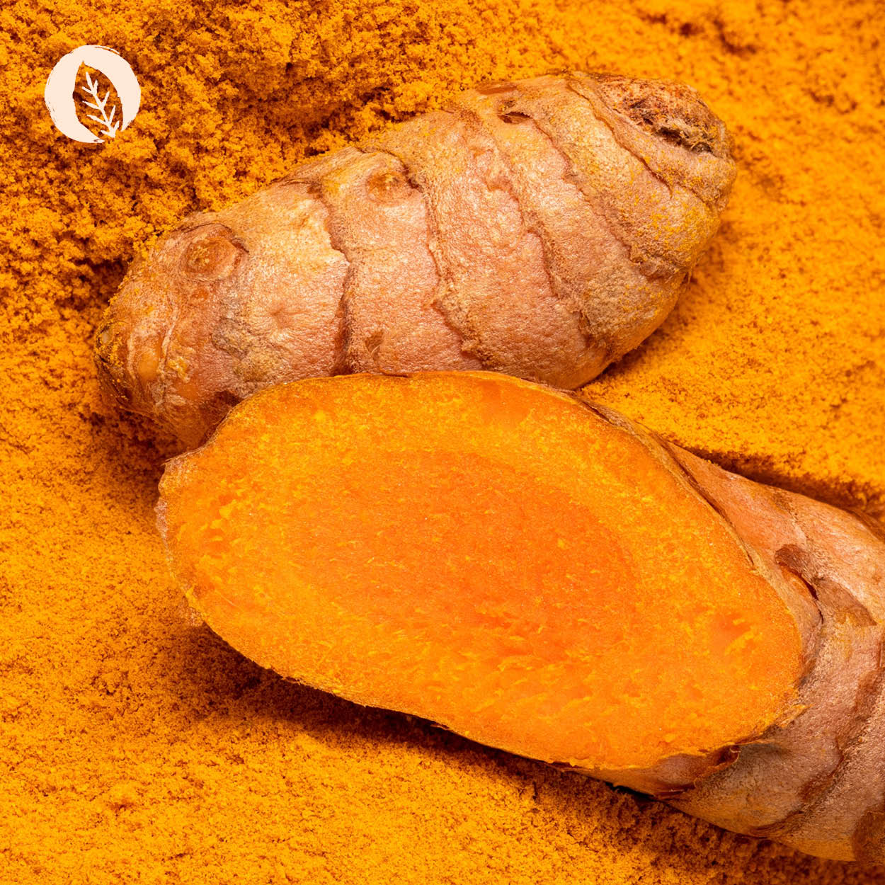 Curcuma Kapseln - Image 6