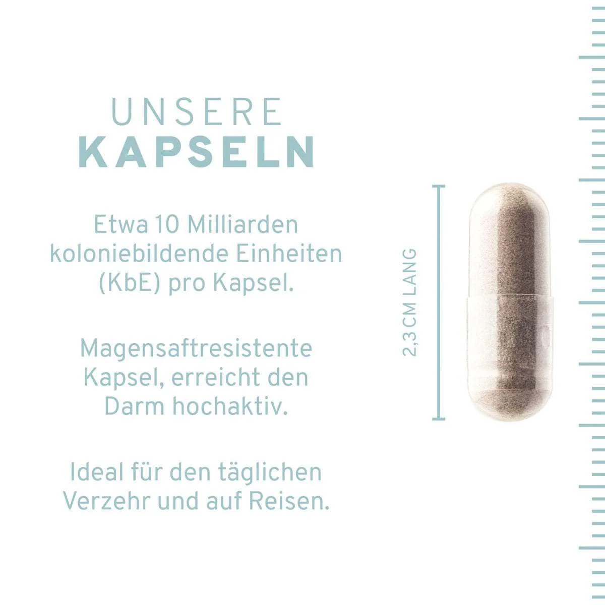 Mikrobiom Flora Kapseln - Image 3