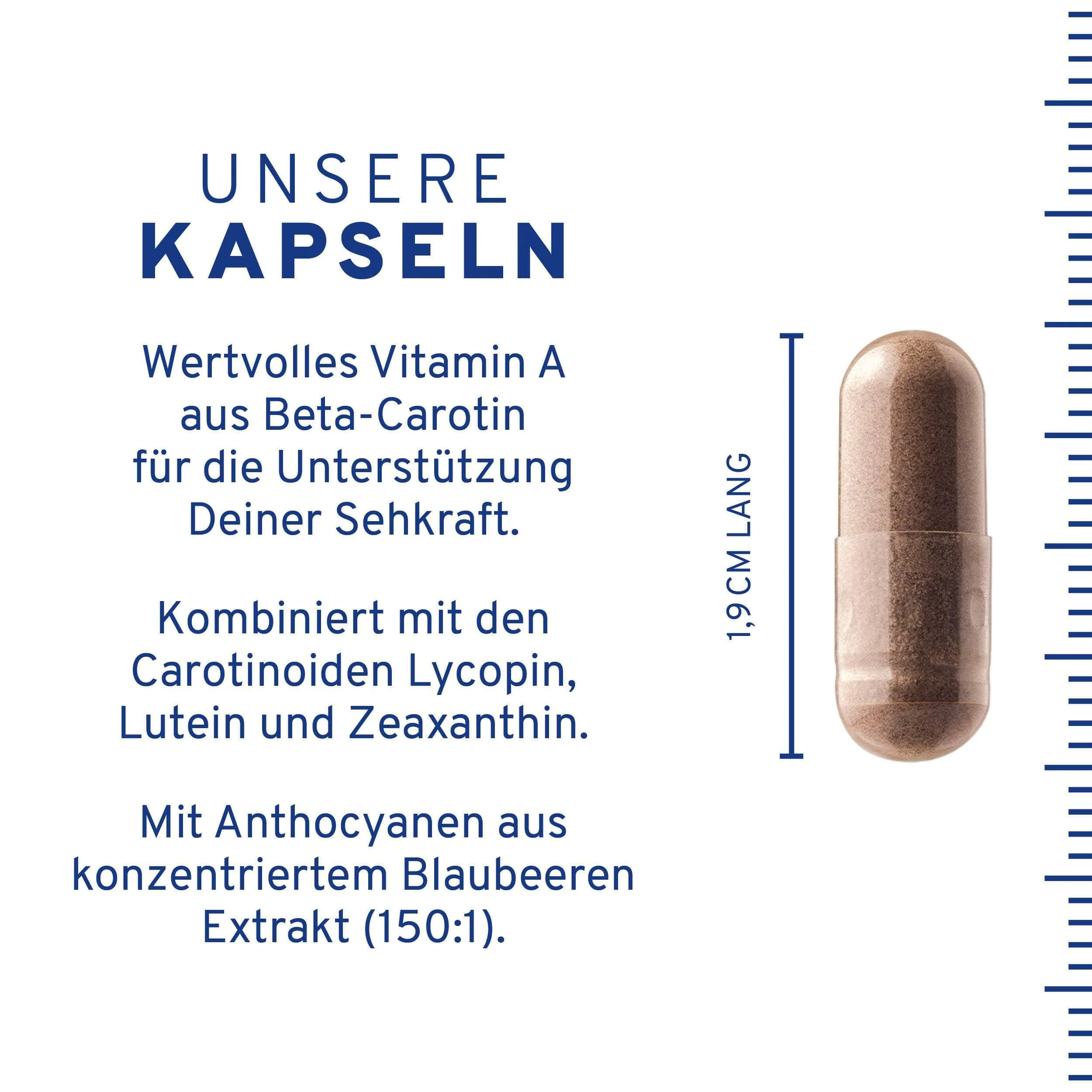Sehkraft Kapseln - Image 4