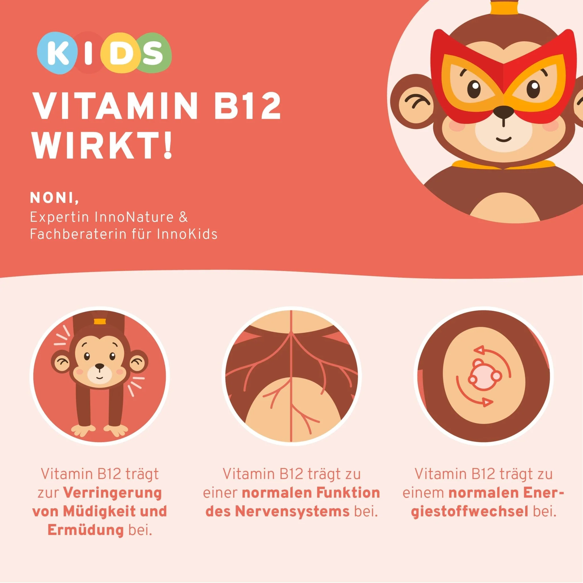 Vitamin B12 Family Set - Image 3